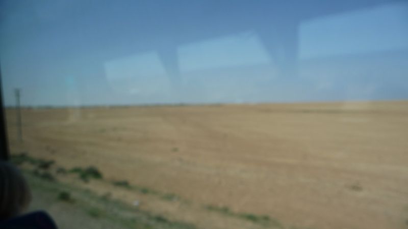 P1030341.JPG